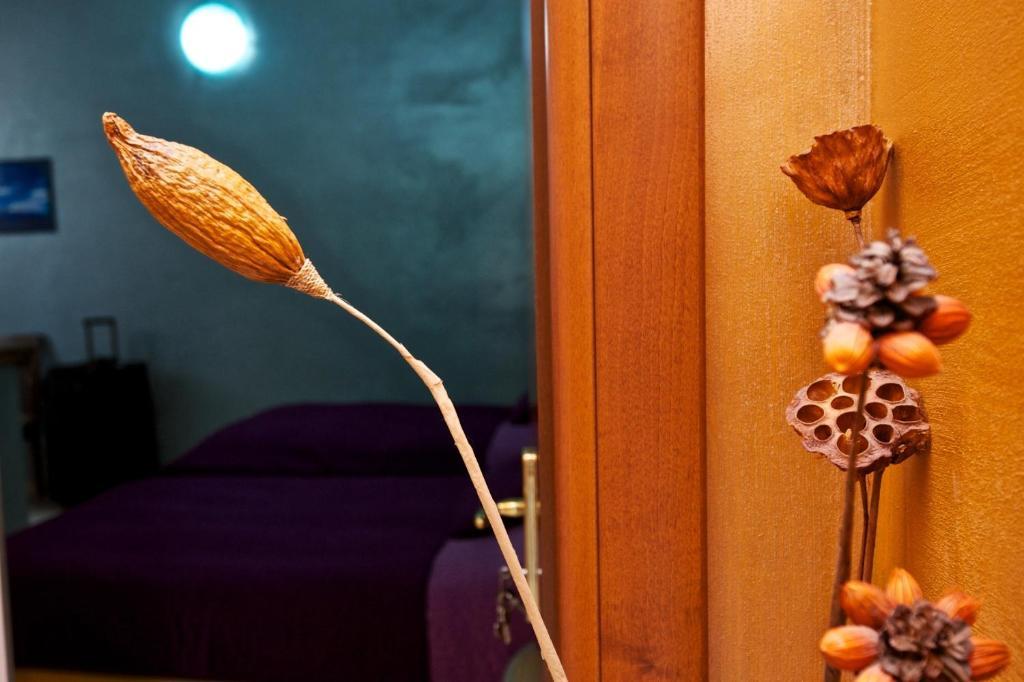 Guesthouse Il Gong Rzym Zewnętrze zdjęcie